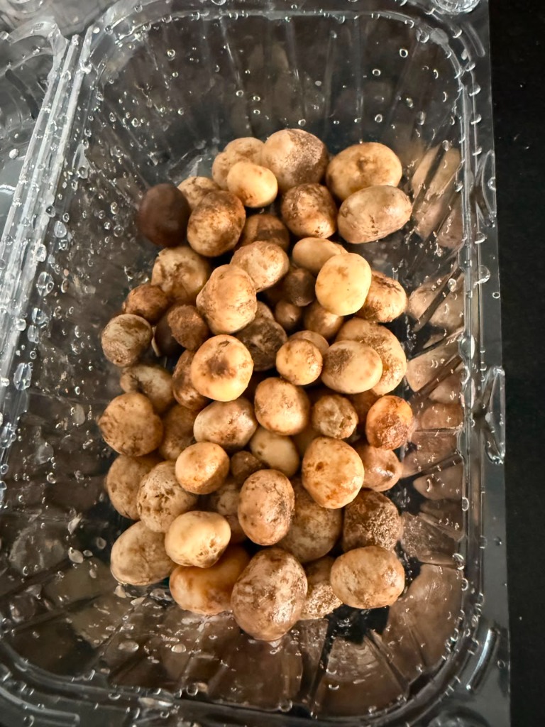Fresh Wild Rugda Pack