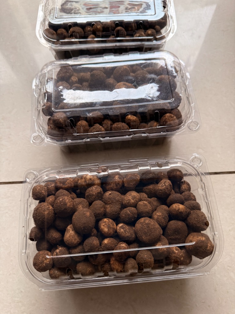 Fresh Rugda Containers Stacked