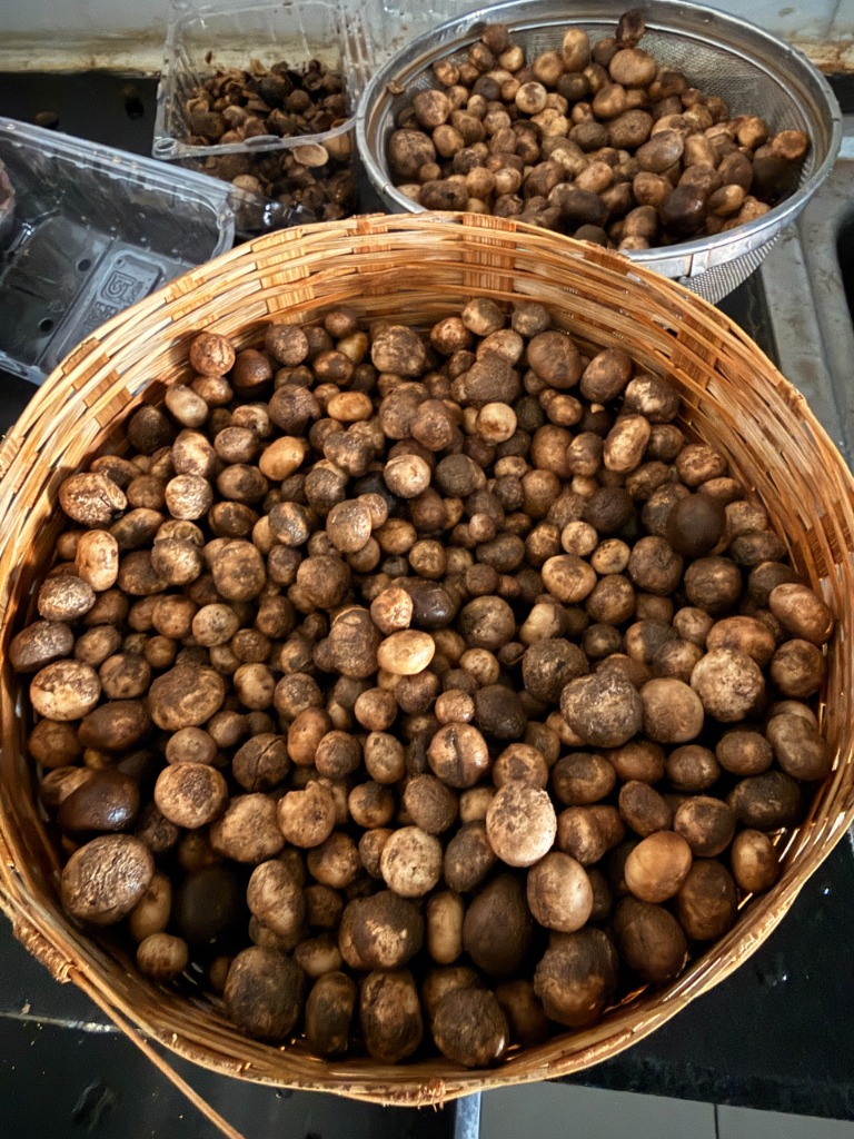Fresh Rugda in Bamboo Basket